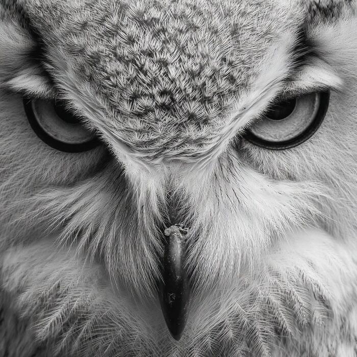 38 Award-Winning Black-And-White Photos From The 2026 Exposure One Awards 38 Award-Winning Black-And-White Photos From The 2026 Exposure One Awards