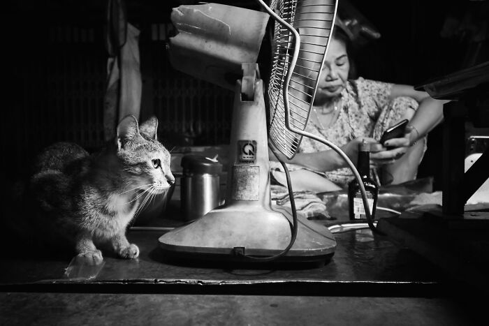 38 Award-Winning Black-And-White Photos From The 2026 Exposure One Awards 38 Award-Winning Black-And-White Photos From The 2026 Exposure One Awards