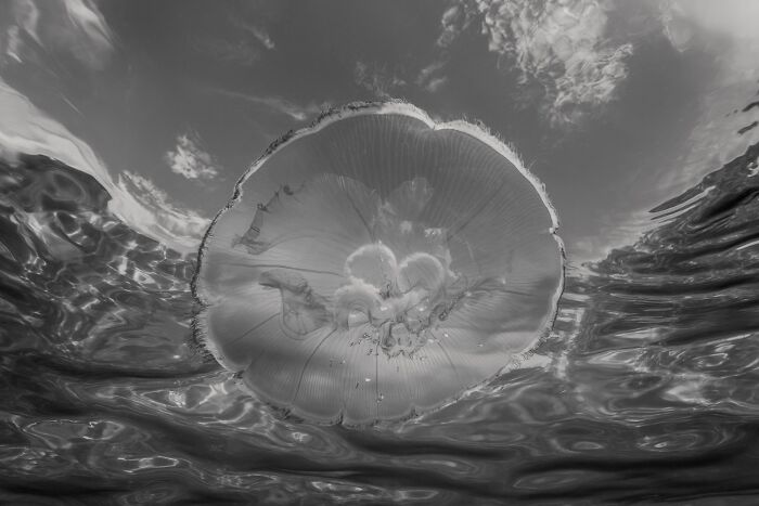 38 Award-Winning Black-And-White Photos From The 2026 Exposure One Awards 38 Award-Winning Black-And-White Photos From The 2026 Exposure One Awards
