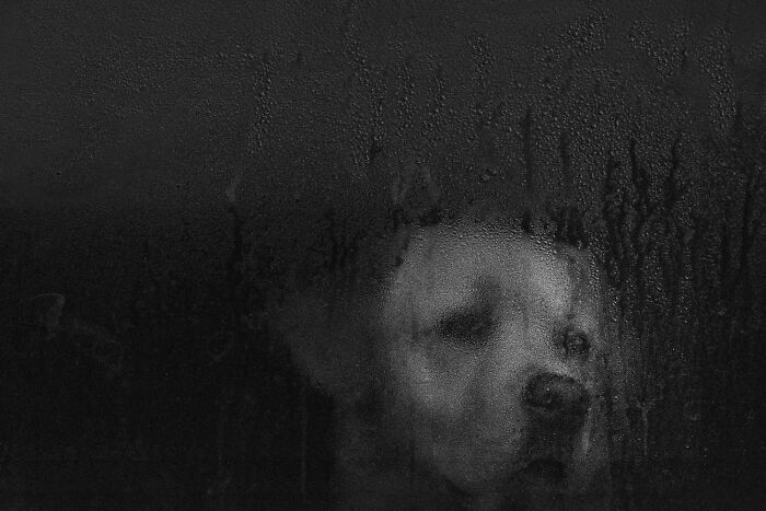 38 Award-Winning Black-And-White Photos From The 2026 Exposure One Awards 38 Award-Winning Black-And-White Photos From The 2026 Exposure One Awards