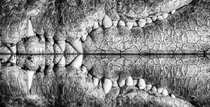 38 Award-Winning Black-And-White Photos From The 2026 Exposure One Awards 38 Award-Winning Black-And-White Photos From The 2026 Exposure One Awards