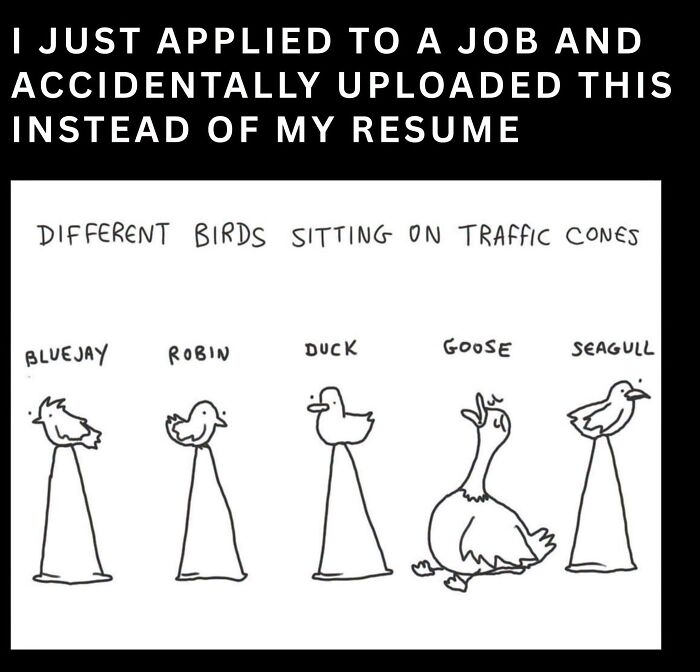 42 Bird Memes Shared By This Page That Prove Birds Are The Internet&rsquo;s Most Underrated Comedians