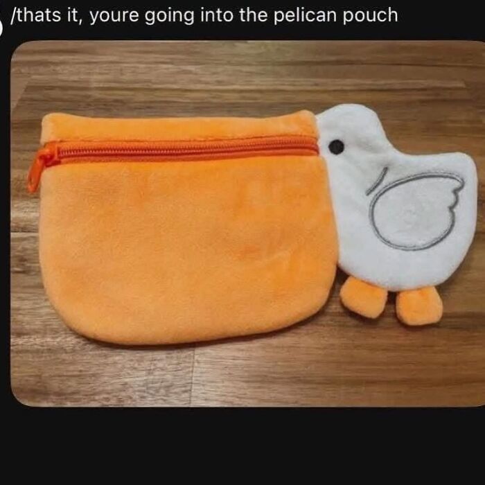 42 Bird Memes Shared By This Page That Prove Birds Are The Internet&rsquo;s Most Underrated Comedians