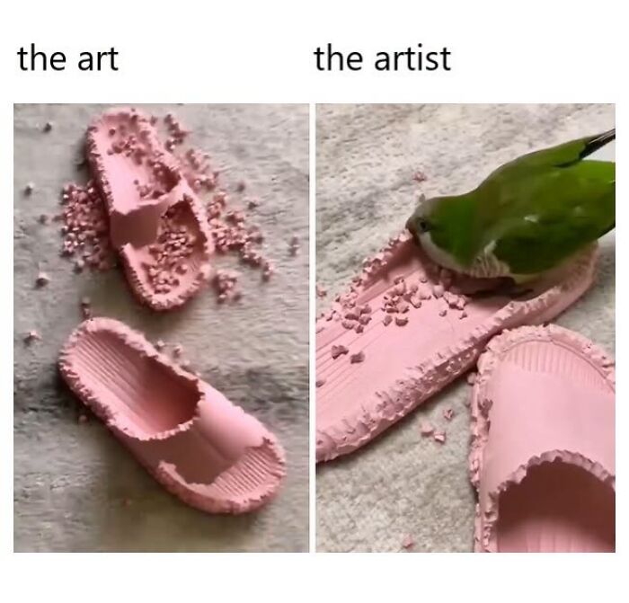 42 Bird Memes Shared By This Page That Prove Birds Are The Internet&rsquo;s Most Underrated Comedians