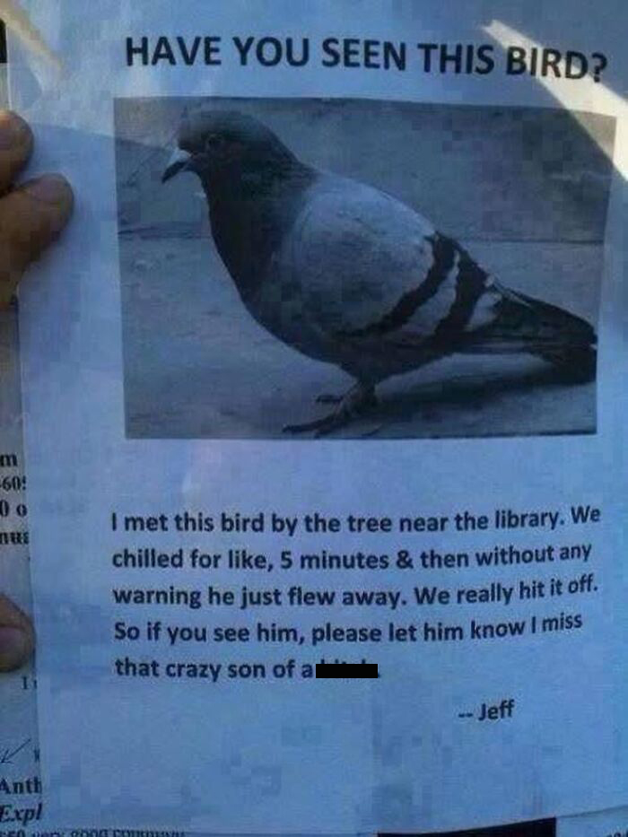 42 Bird Memes Shared By This Page That Prove Birds Are The Internet&rsquo;s Most Underrated Comedians