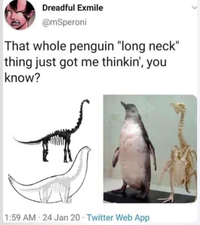 42 Bird Memes Shared By This Page That Prove Birds Are The Internet&rsquo;s Most Underrated Comedians