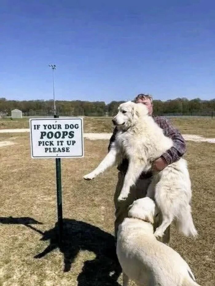 76 Absurd Signs, Products, And Moments That Might Make You Laugh, Groan, And Shake Your Head At Once 76 Absurd Signs, Products, And Moments That Might Make You Laugh, Groan, And Shake Your Head At Once