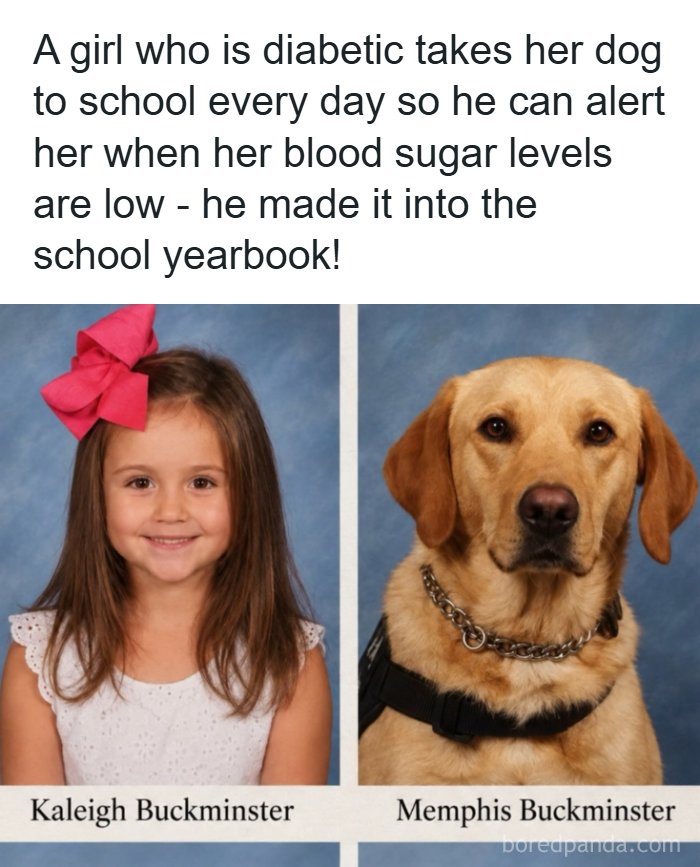 63 Entertaining, Silly And Fun Posts About Everything And Everyone 63 Entertaining, Silly And Fun Posts About Everything And Everyone