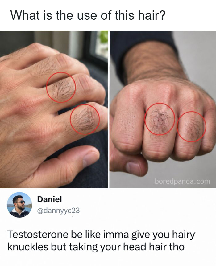 63 Entertaining, Silly And Fun Posts About Everything And Everyone 63 Entertaining, Silly And Fun Posts About Everything And Everyone