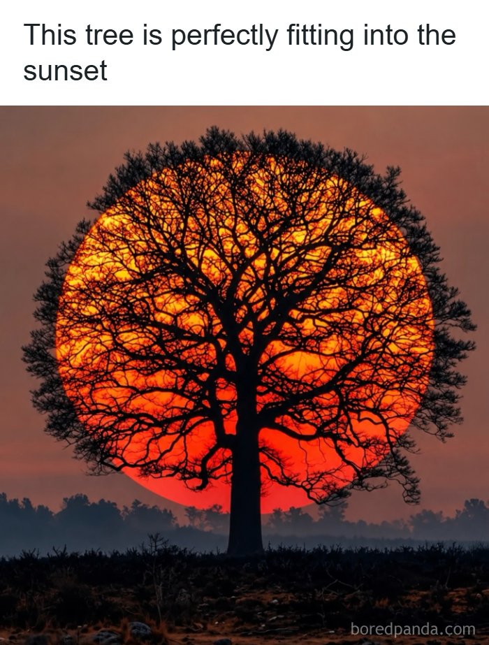63 Entertaining, Silly And Fun Posts About Everything And Everyone 63 Entertaining, Silly And Fun Posts About Everything And Everyone