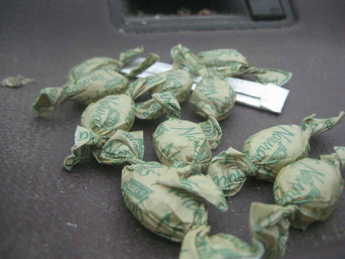 47 Times People Expected Candy While Trick-Or-Treating, But Got Something Very Weird Instead 47 Times People Expected Candy While Trick-Or-Treating, But Got Something Very Weird Instead