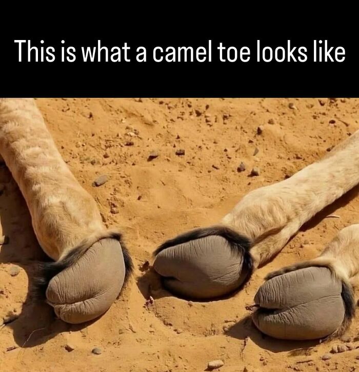 53 Fascinating Photos And Facts About History That You Probably Haven’t Seen Before 53 Fascinating Photos And Facts About History That You Probably Haven’t Seen Before