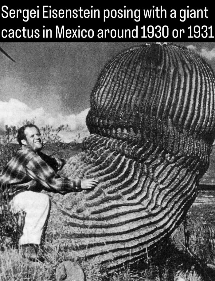 53 Fascinating Photos And Facts About History That You Probably Haven’t Seen Before 53 Fascinating Photos And Facts About History That You Probably Haven’t Seen Before