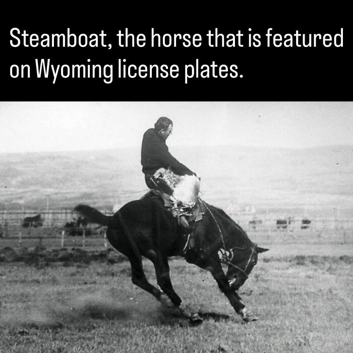 53 Fascinating Photos And Facts About History That You Probably Haven’t Seen Before 53 Fascinating Photos And Facts About History That You Probably Haven’t Seen Before