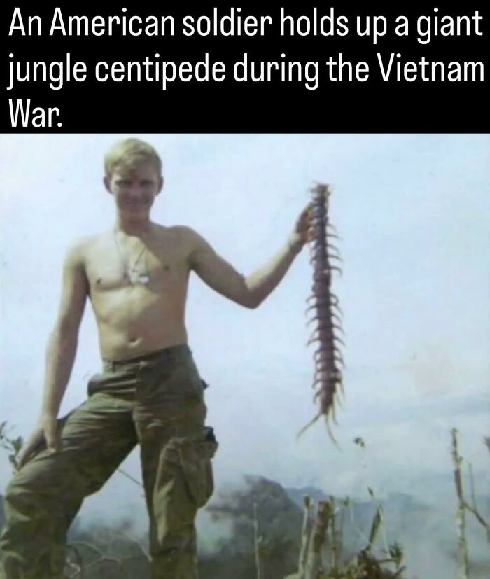 53 Fascinating Photos And Facts About History That You Probably Haven’t Seen Before 53 Fascinating Photos And Facts About History That You Probably Haven’t Seen Before