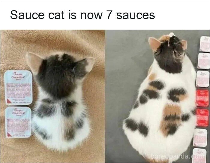 72 Funny Posts That Prove Americans Will Use Anything But The Metric System (New Pics) 72 Funny Posts That Prove Americans Will Use Anything But The Metric System (New Pics)