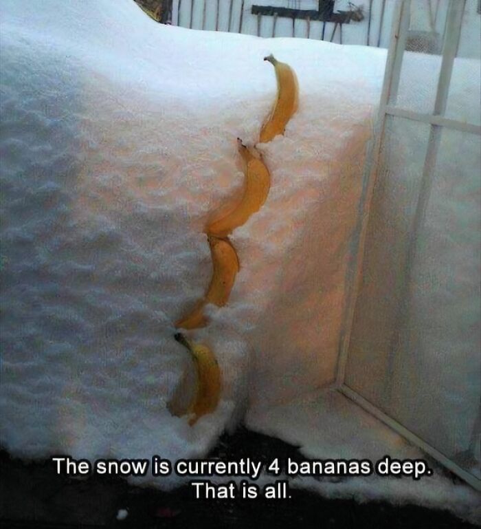 72 Funny Posts That Prove Americans Will Use Anything But The Metric System (New Pics) 72 Funny Posts That Prove Americans Will Use Anything But The Metric System (New Pics)