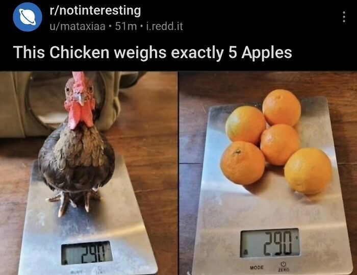 72 Funny Posts That Prove Americans Will Use Anything But The Metric System (New Pics) 72 Funny Posts That Prove Americans Will Use Anything But The Metric System (New Pics)