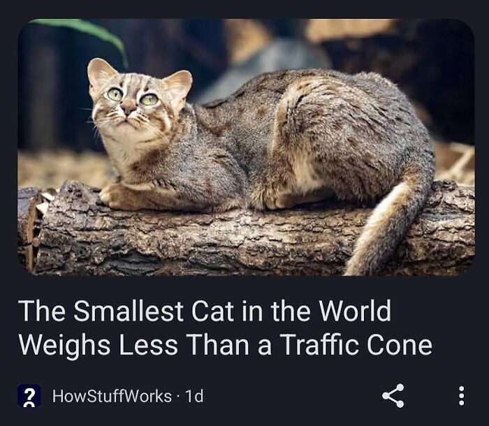 72 Funny Posts That Prove Americans Will Use Anything But The Metric System (New Pics) 72 Funny Posts That Prove Americans Will Use Anything But The Metric System (New Pics)