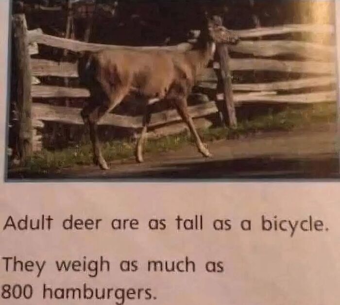 72 Funny Posts That Prove Americans Will Use Anything But The Metric System (New Pics) 72 Funny Posts That Prove Americans Will Use Anything But The Metric System (New Pics)