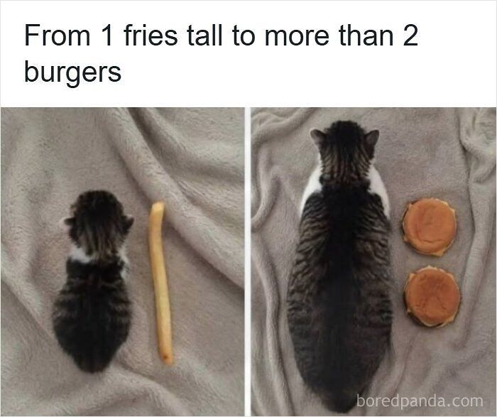 72 Funny Posts That Prove Americans Will Use Anything But The Metric System (New Pics) 72 Funny Posts That Prove Americans Will Use Anything But The Metric System (New Pics)