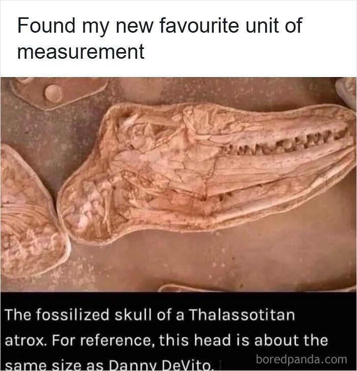 72 Funny Posts That Prove Americans Will Use Anything But The Metric System (New Pics) 72 Funny Posts That Prove Americans Will Use Anything But The Metric System (New Pics)