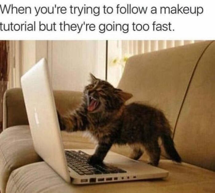 This Page Shared 40 Cat Memes That Prove Feline Expressions Are Perfect For Just About Any Situation