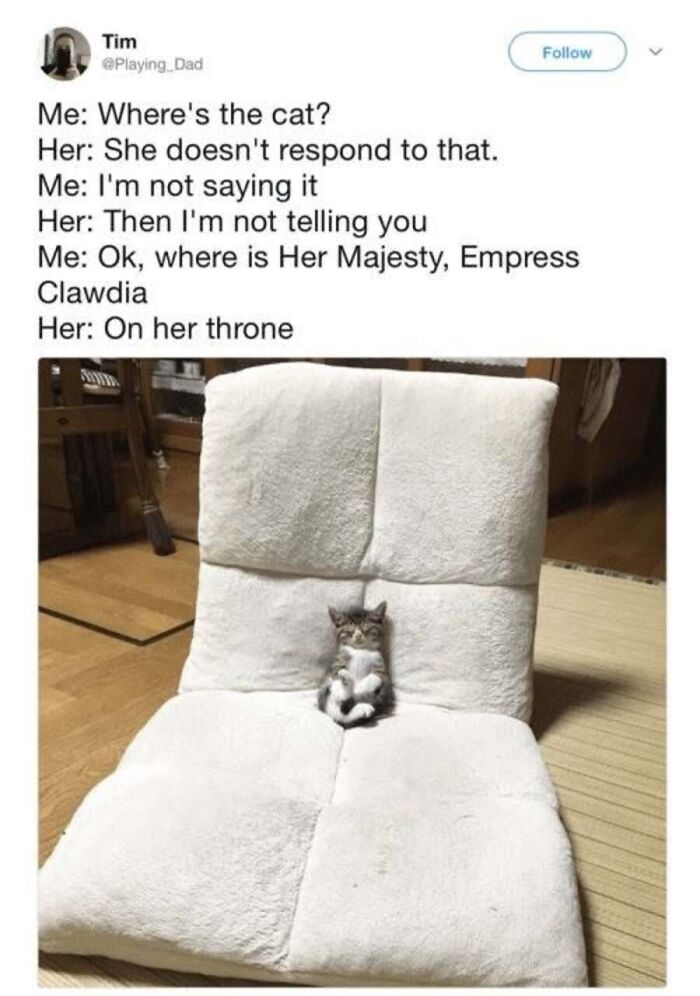 This Page Shared 40 Cat Memes That Prove Feline Expressions Are Perfect For Just About Any Situation