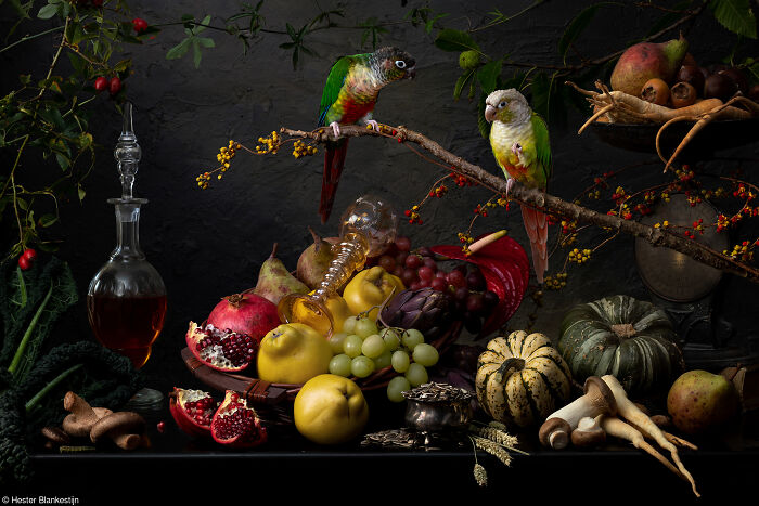 The World Food Photography Awards Shared 22 Creative Pumpkin Photos Just In Time For Halloween The World Food Photography Awards Shared 22 Creative Pumpkin Photos Just In Time For Halloween