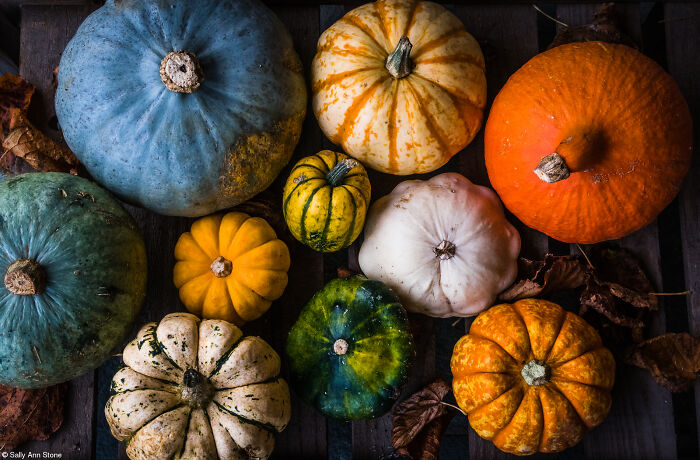 The World Food Photography Awards Shared 22 Creative Pumpkin Photos Just In Time For Halloween The World Food Photography Awards Shared 22 Creative Pumpkin Photos Just In Time For Halloween