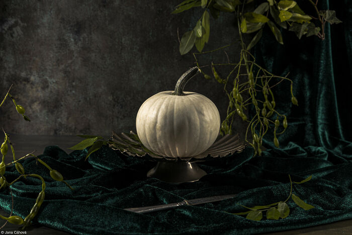 The World Food Photography Awards Shared 22 Creative Pumpkin Photos Just In Time For Halloween The World Food Photography Awards Shared 22 Creative Pumpkin Photos Just In Time For Halloween