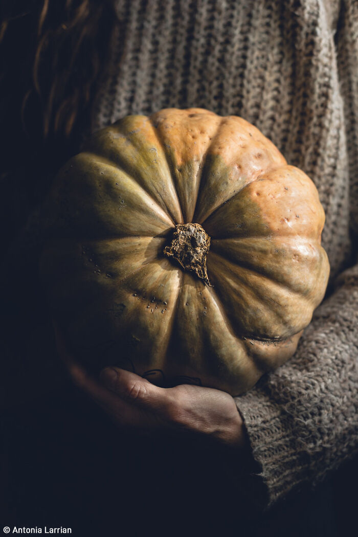 The World Food Photography Awards Shared 22 Creative Pumpkin Photos Just In Time For Halloween The World Food Photography Awards Shared 22 Creative Pumpkin Photos Just In Time For Halloween
