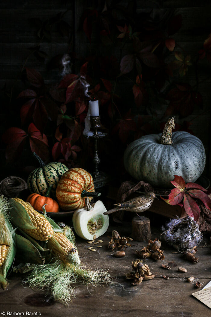 The World Food Photography Awards Shared 22 Creative Pumpkin Photos Just In Time For Halloween The World Food Photography Awards Shared 22 Creative Pumpkin Photos Just In Time For Halloween