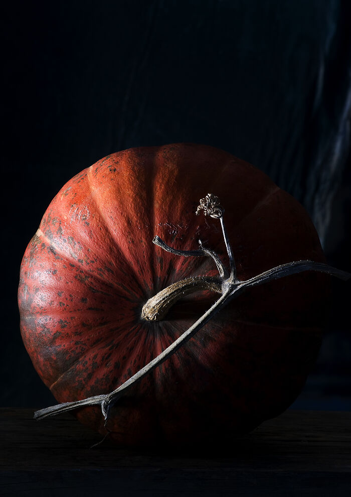The World Food Photography Awards Shared 22 Creative Pumpkin Photos Just In Time For Halloween The World Food Photography Awards Shared 22 Creative Pumpkin Photos Just In Time For Halloween