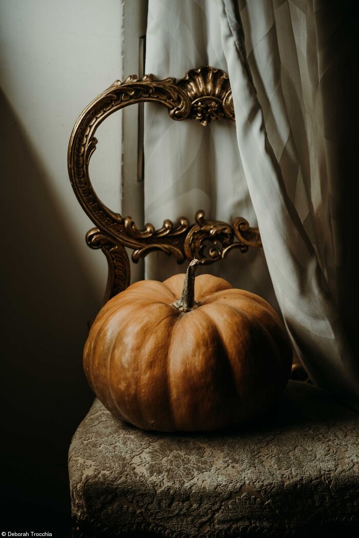 The World Food Photography Awards Shared 22 Creative Pumpkin Photos Just In Time For Halloween The World Food Photography Awards Shared 22 Creative Pumpkin Photos Just In Time For Halloween