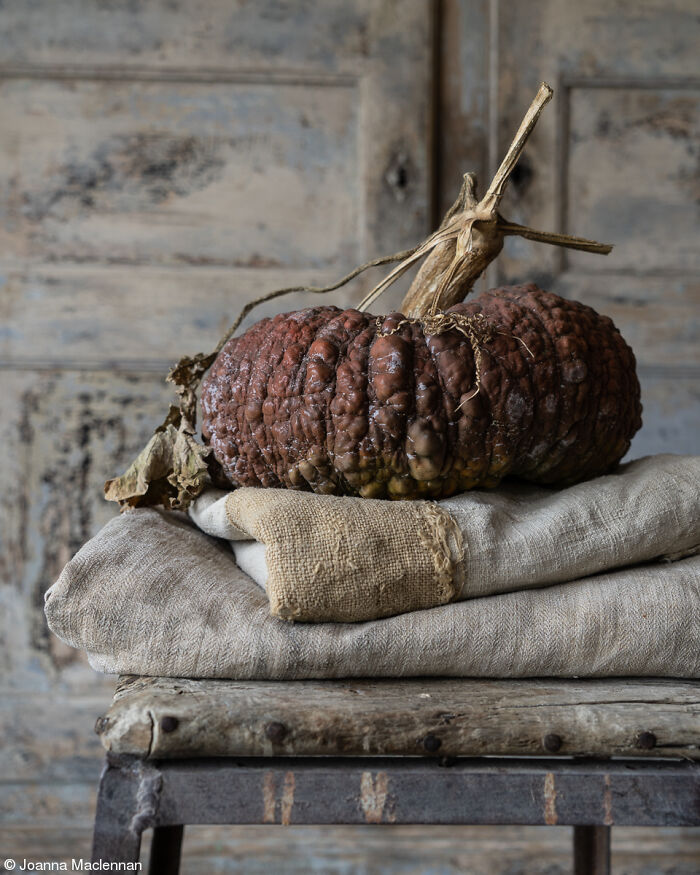 The World Food Photography Awards Shared 22 Creative Pumpkin Photos Just In Time For Halloween The World Food Photography Awards Shared 22 Creative Pumpkin Photos Just In Time For Halloween