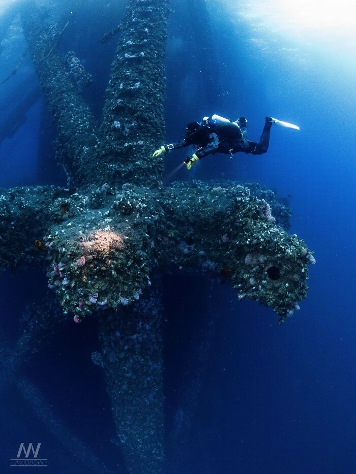 64 Unnerving Photos Of Submerged Objects That Show Why Some People Fear What&rsquo;s Underwater (New Pics)