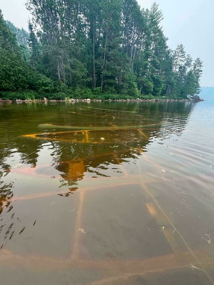 64 Unnerving Photos Of Submerged Objects That Show Why Some People Fear What&rsquo;s Underwater (New Pics)