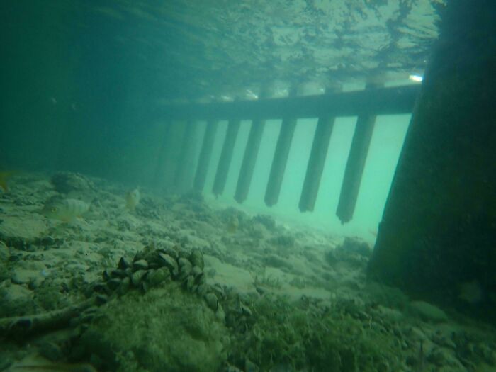 64 Unnerving Photos Of Submerged Objects That Show Why Some People Fear What&rsquo;s Underwater (New Pics)