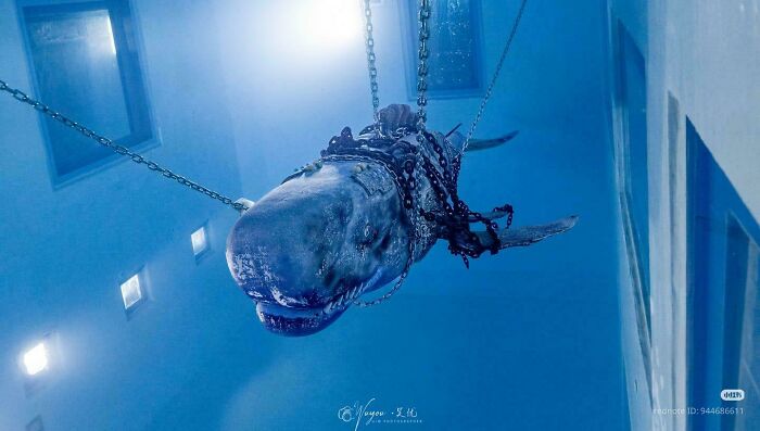 64 Unnerving Photos Of Submerged Objects That Show Why Some People Fear What&rsquo;s Underwater (New Pics)