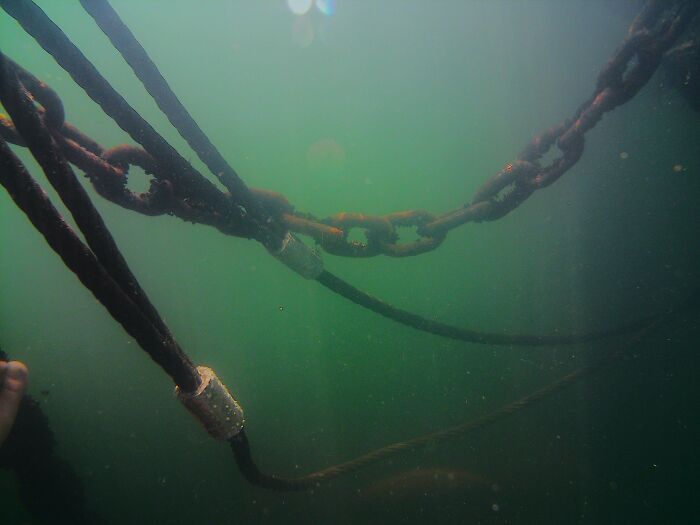 64 Unnerving Photos Of Submerged Objects That Show Why Some People Fear What&rsquo;s Underwater (New Pics)