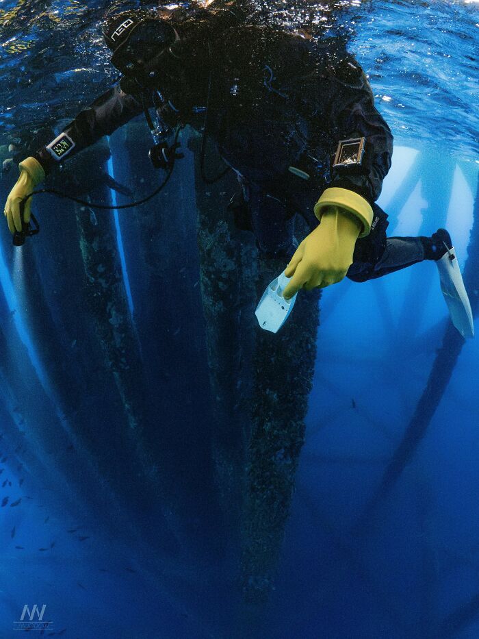 64 Unnerving Photos Of Submerged Objects That Show Why Some People Fear What&rsquo;s Underwater (New Pics)