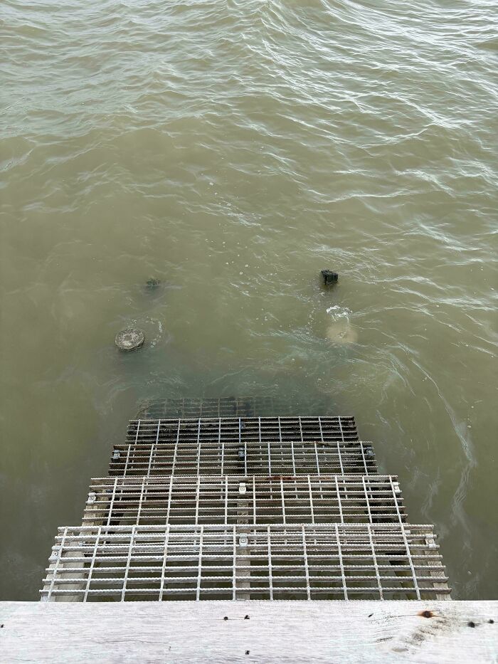 64 Unnerving Photos Of Submerged Objects That Show Why Some People Fear What&rsquo;s Underwater (New Pics)