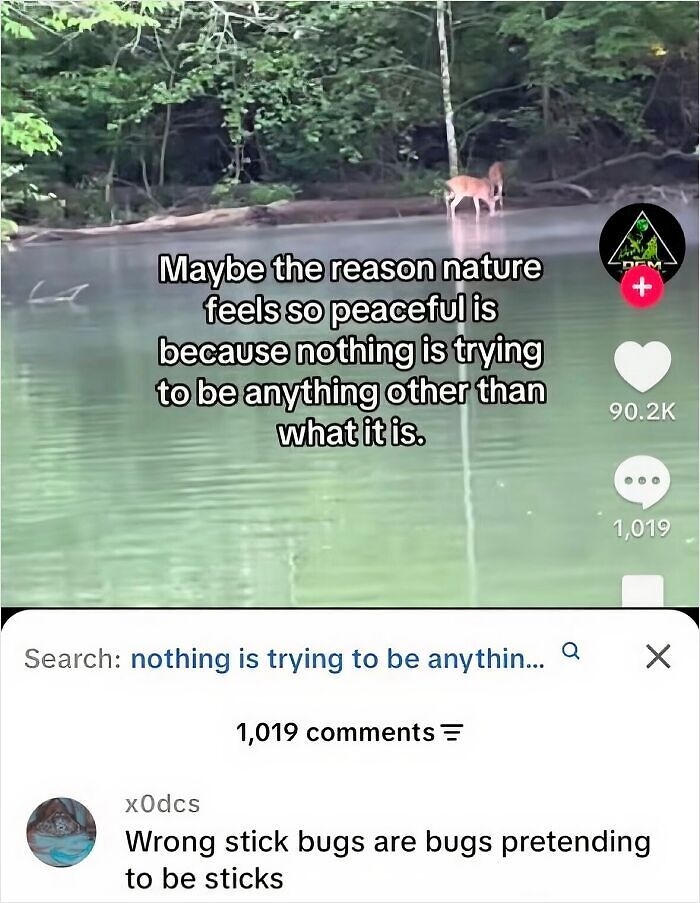 58 Animal Memes That Prove Nature Has A Very Strange Sense Of Humor