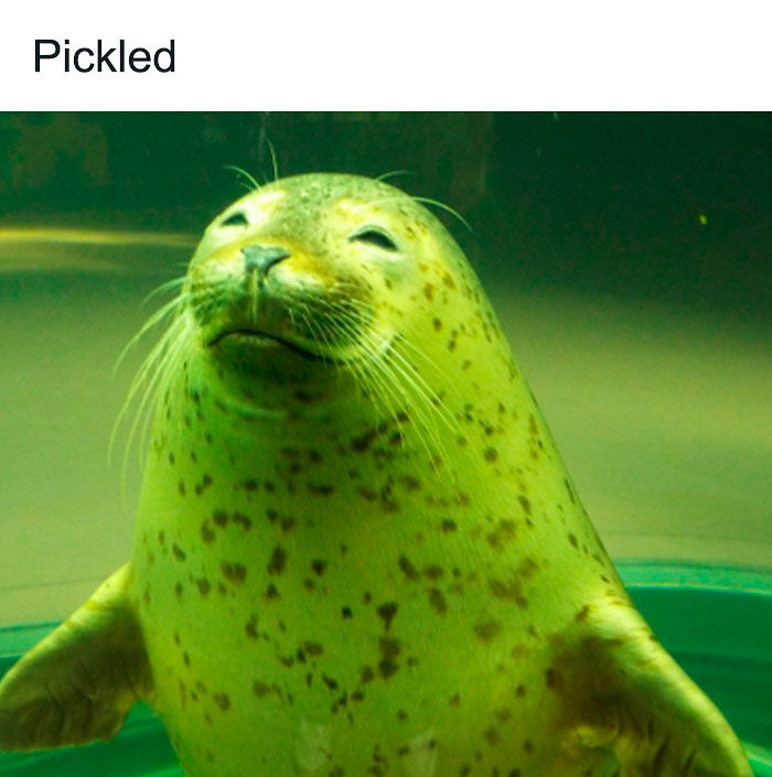 58 Animal Memes That Prove Nature Has A Very Strange Sense Of Humor