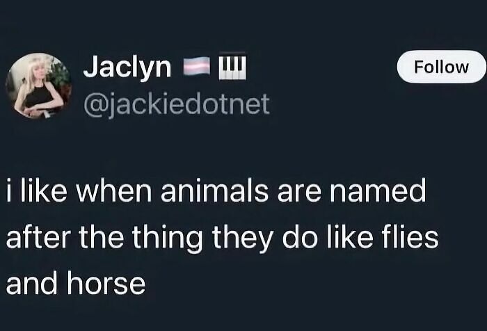 58 Animal Memes That Prove Nature Has A Very Strange Sense Of Humor
