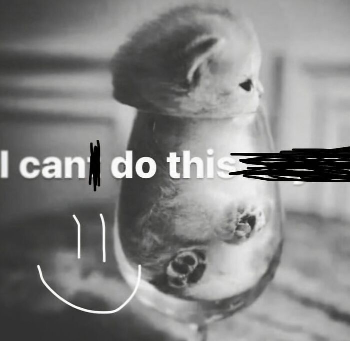 58 Animal Memes That Prove Nature Has A Very Strange Sense Of Humor