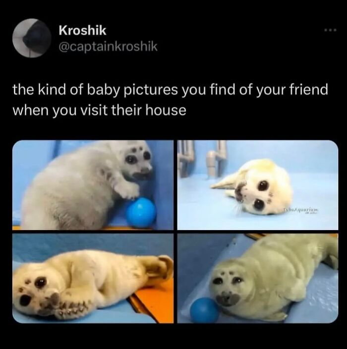 58 Animal Memes That Prove Nature Has A Very Strange Sense Of Humor