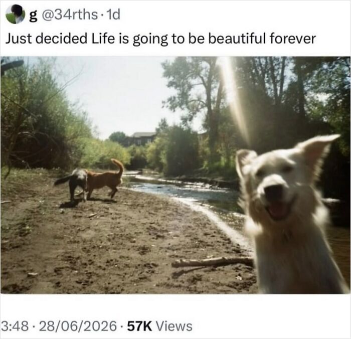 58 Animal Memes That Prove Nature Has A Very Strange Sense Of Humor