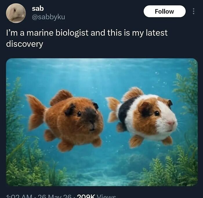 58 Animal Memes That Prove Nature Has A Very Strange Sense Of Humor